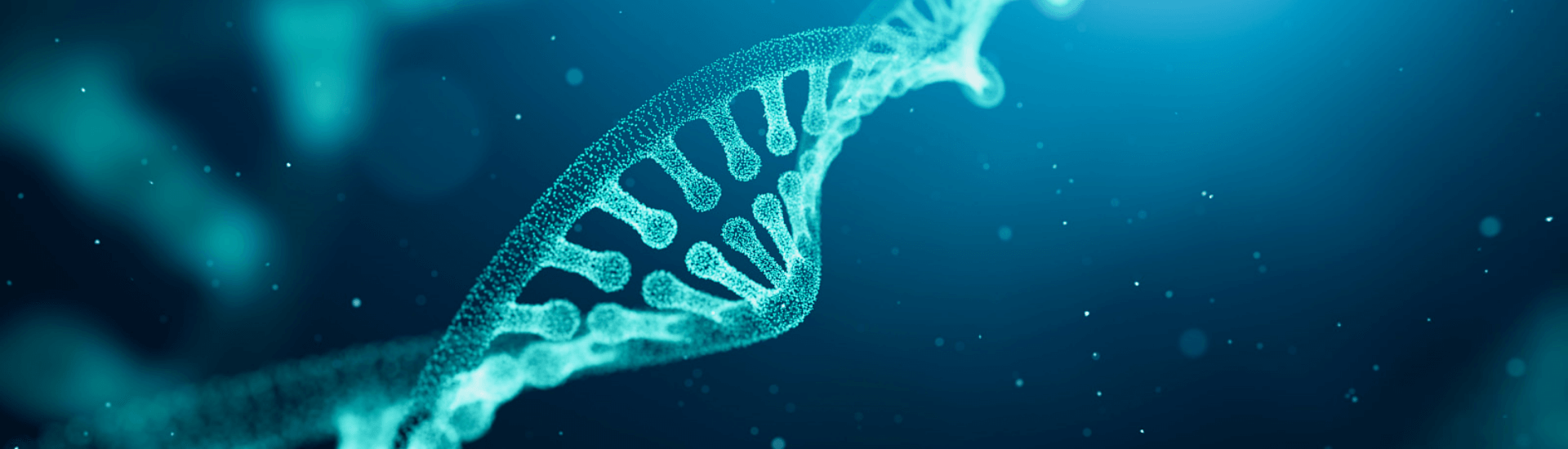 合作伙伴banner图