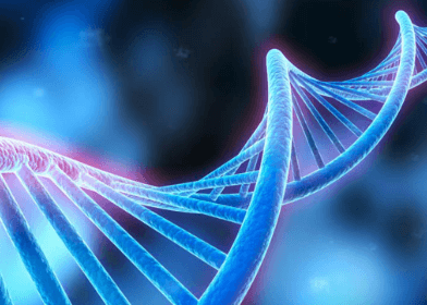 脑科学大数据平台案例介绍