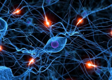 脑科学大数据平台案例介绍05