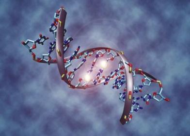 脑科学大数据平台案例介绍04